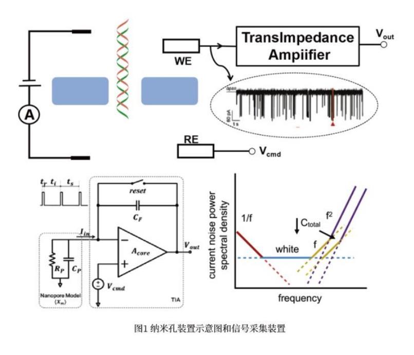 基于纳米孔单分子传感的生物标靶分子的高灵敏检测