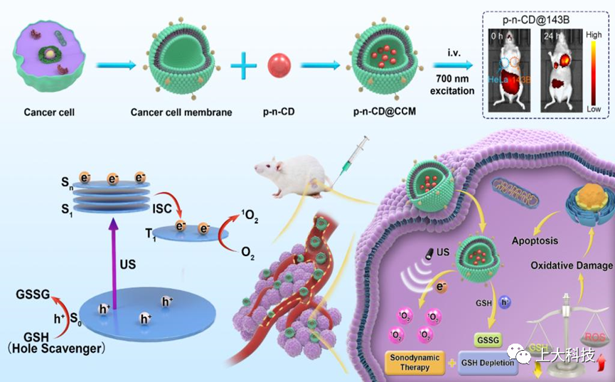 新型肿瘤治疗方法